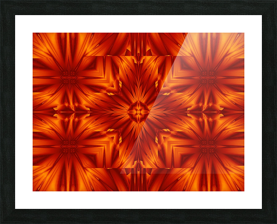 Fire Flowers 191 Picture Frame print