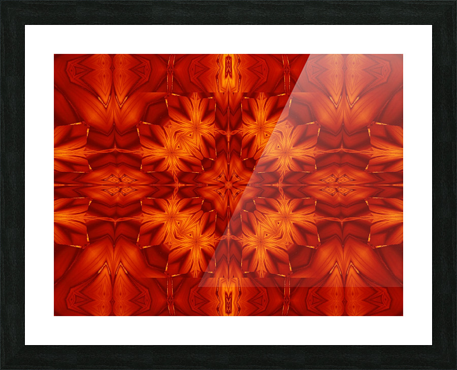 Fire Flowers 197 Picture Frame print