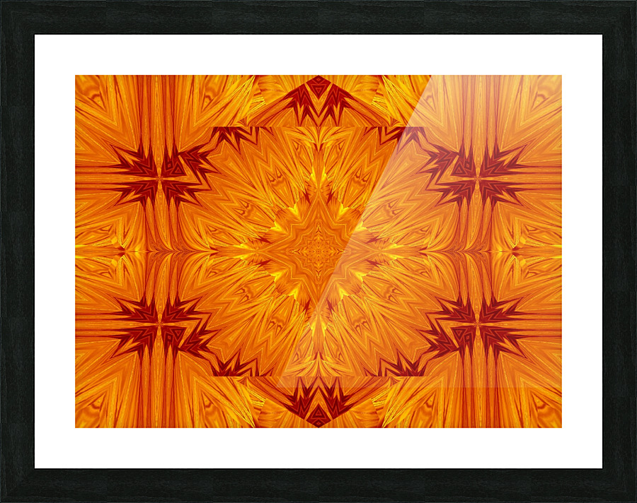Fire Flowers 201 Picture Frame print