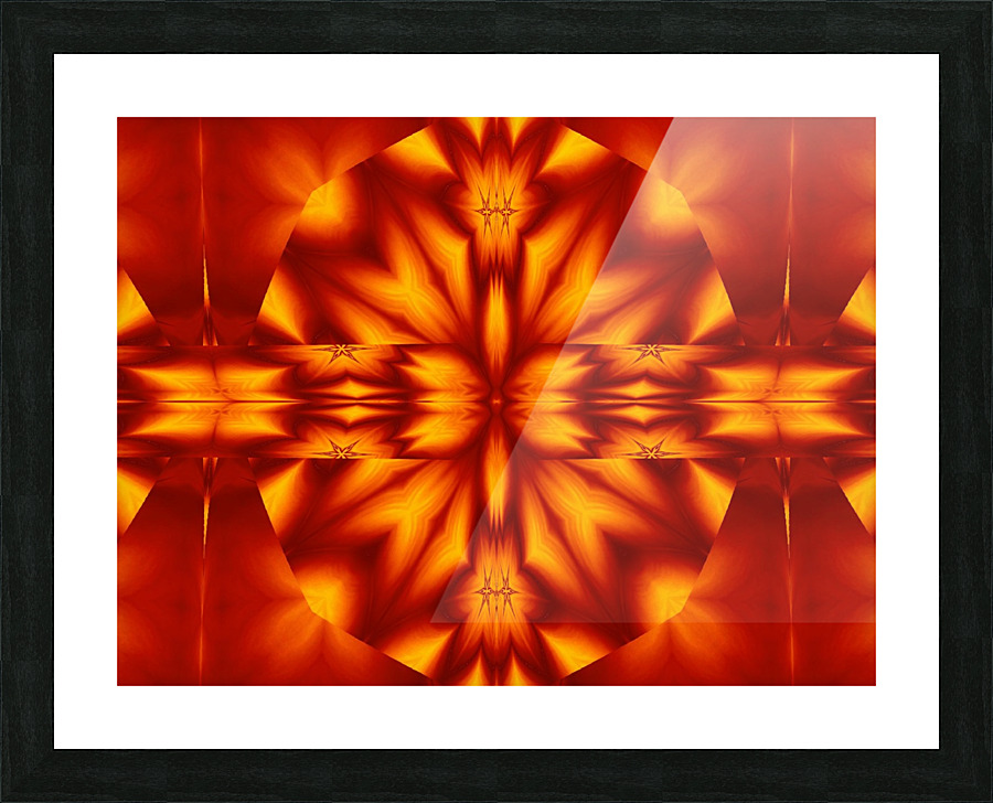 Fire Flowers 223 Picture Frame print