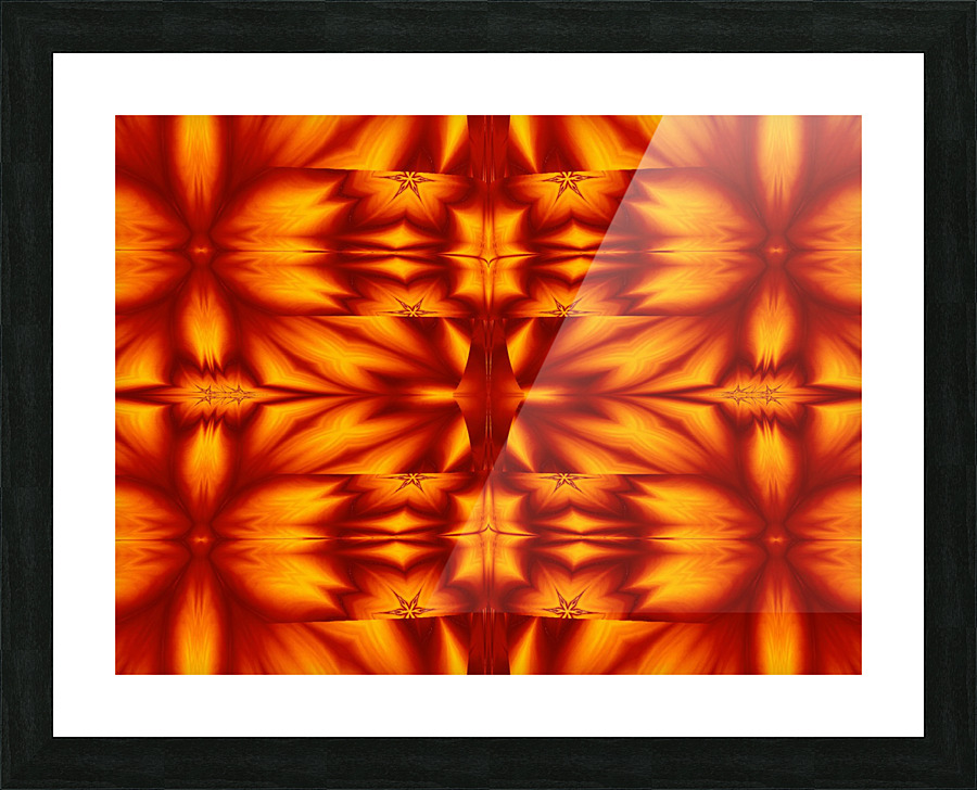 Fire Flowers 224 Picture Frame print