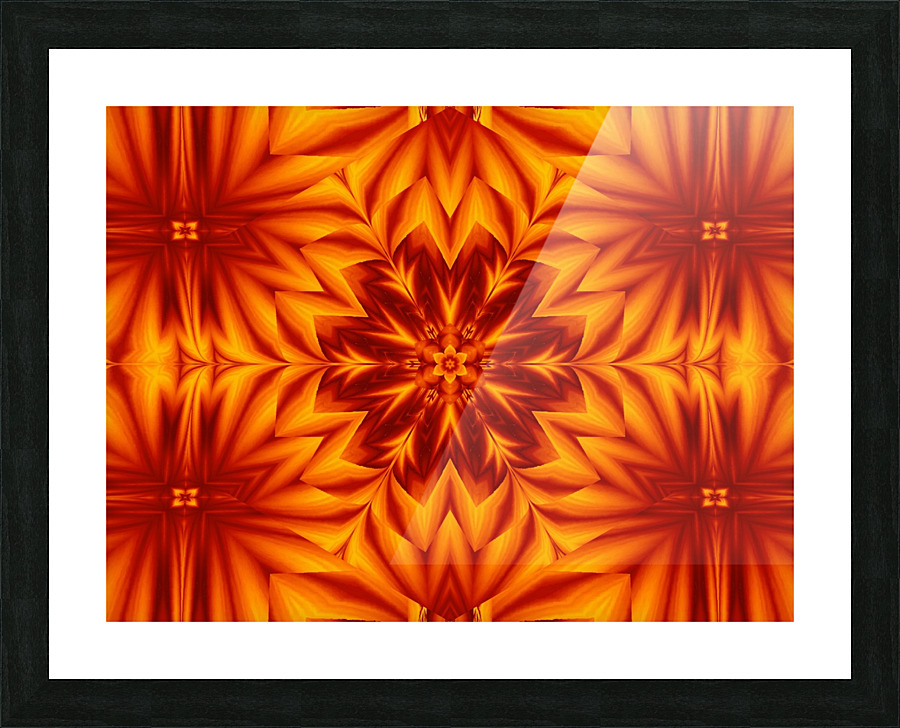 Fire Flowers 234 Picture Frame print