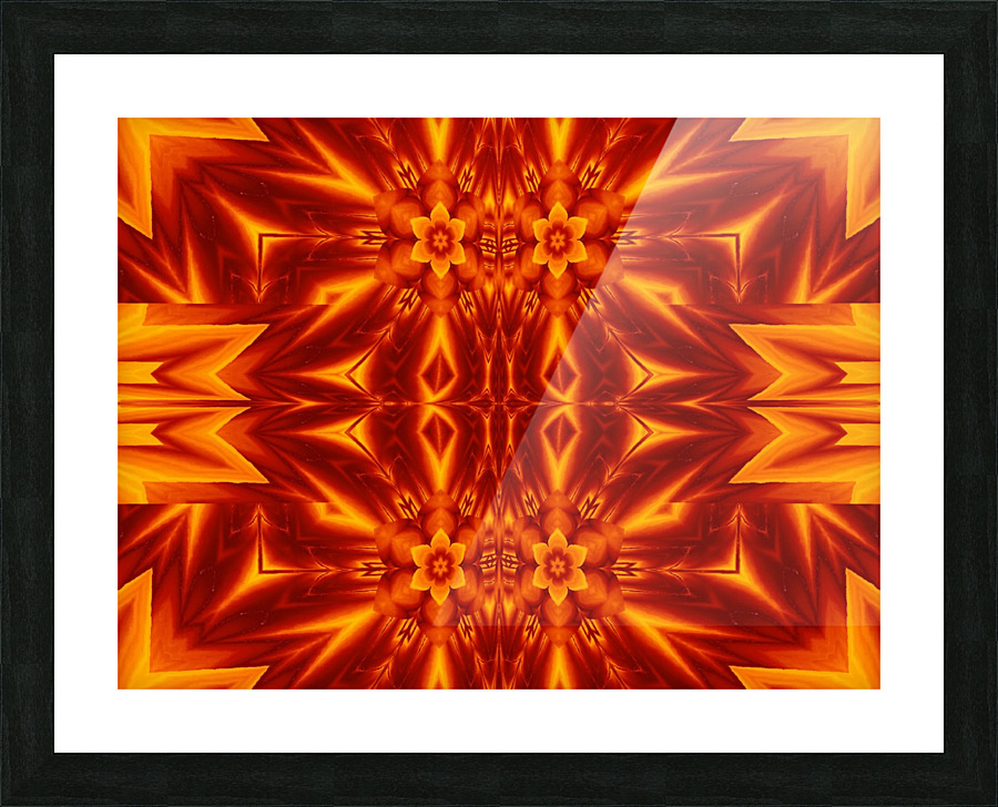 Fire Flowers 235 Picture Frame print