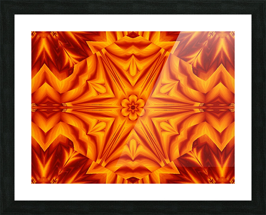 Fire Flowers 238 Picture Frame print