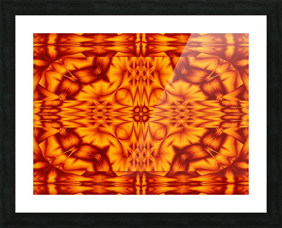 Fire Flowers 239 Picture Frame print
