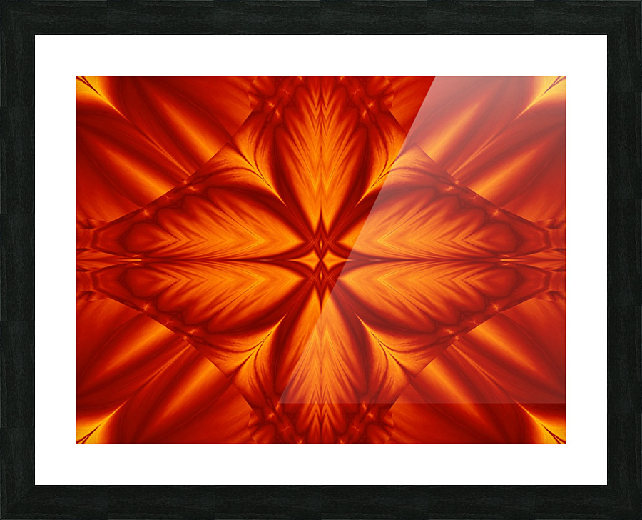 Fire Flowers 248 Picture Frame print