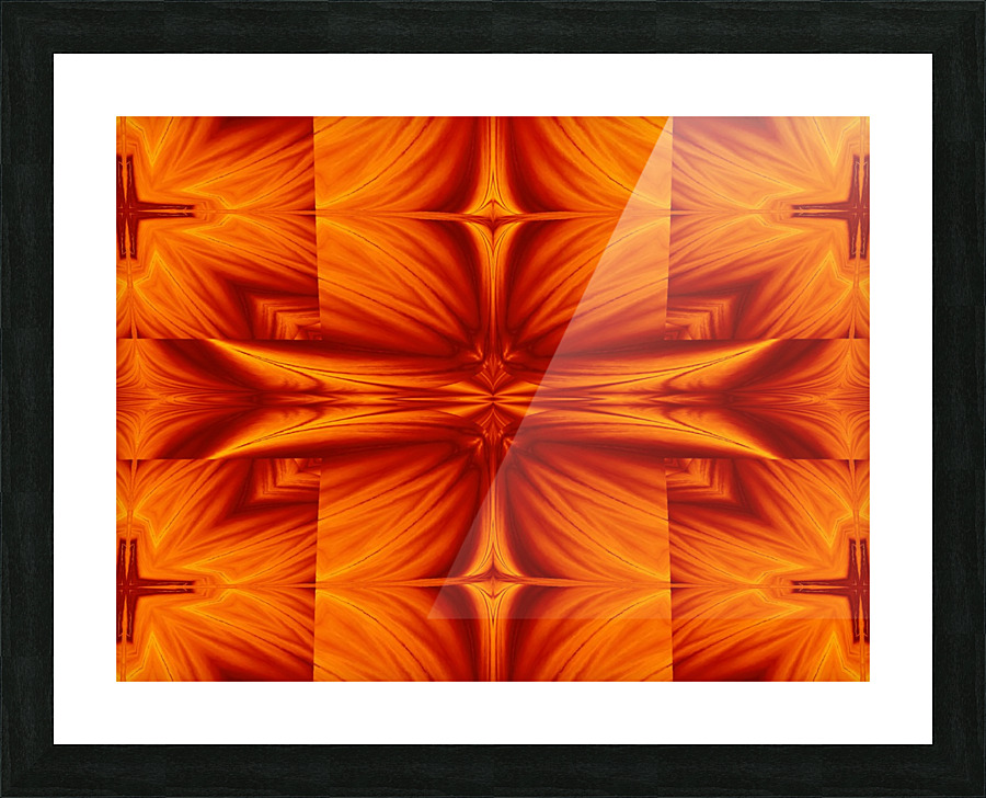 Fire Flowers 249 Picture Frame print
