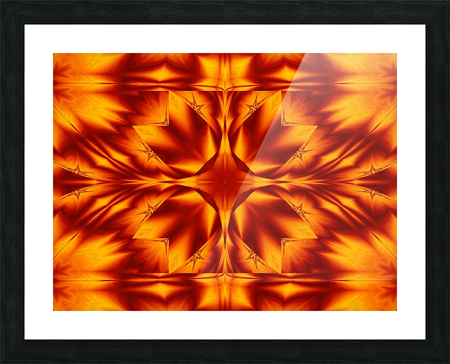 Fire Flowers 256 Picture Frame print