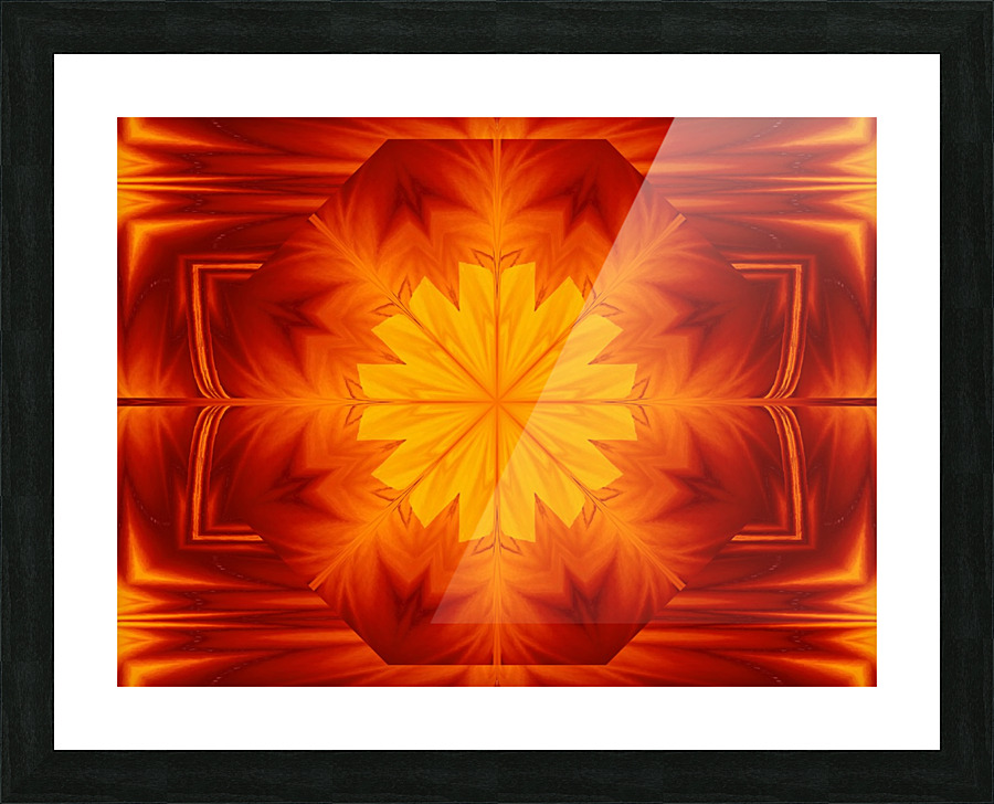 Fire Flowers 259 Picture Frame print