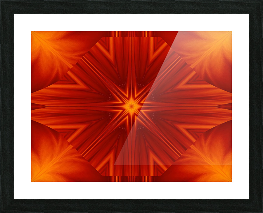 Fire Flowers 260 Picture Frame print