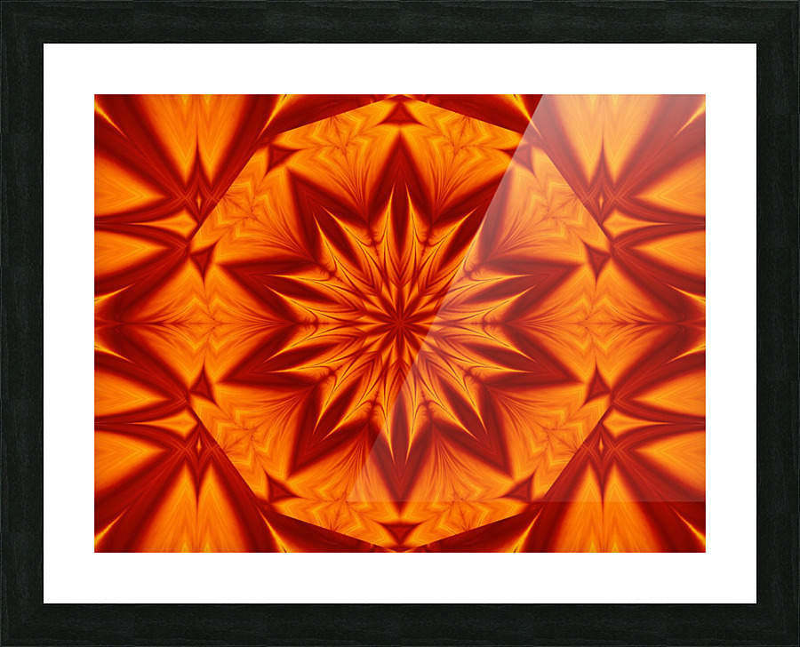 Fire Flowers 263 Picture Frame print