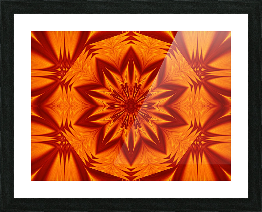Fire Flowers 266 Picture Frame print
