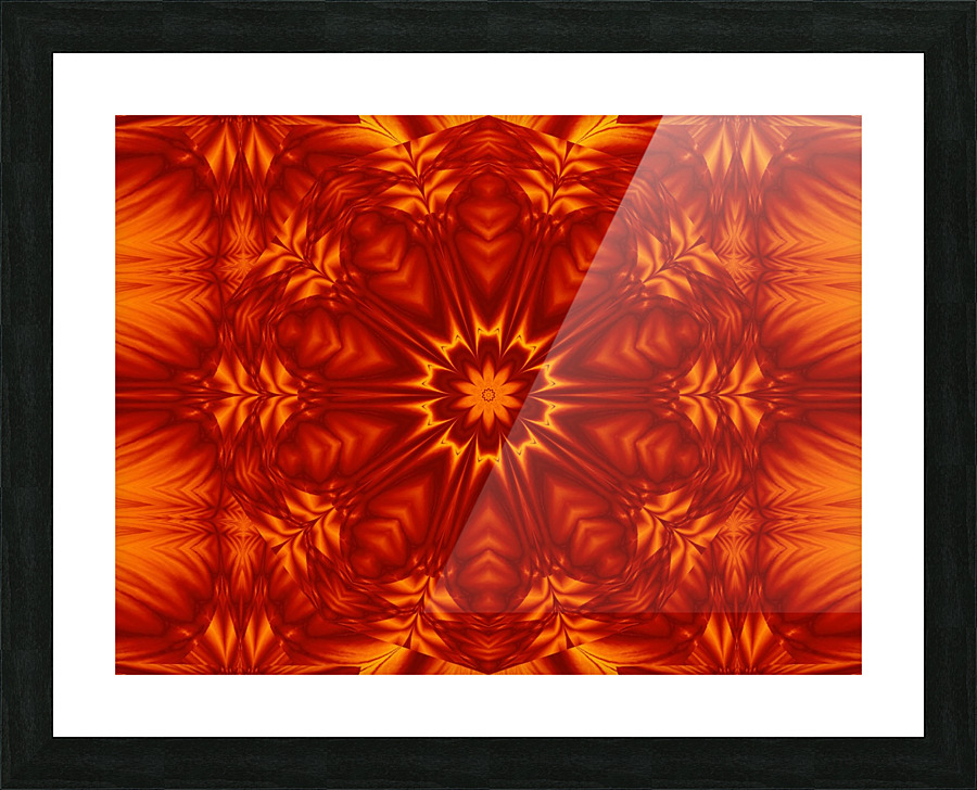 Fire Flowers 267 Picture Frame print