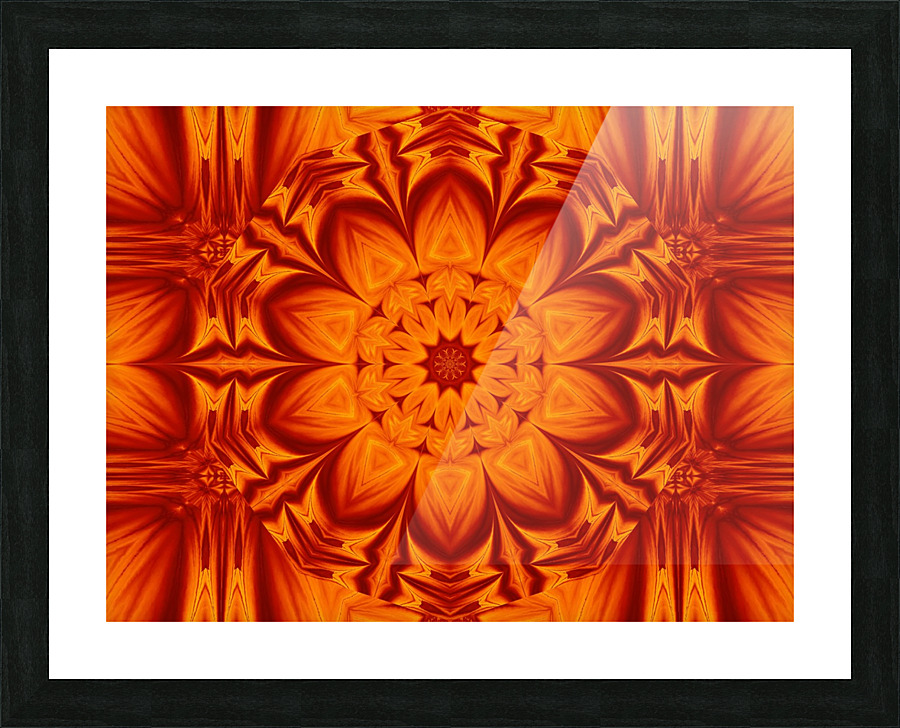 Fire Flowers 269 Picture Frame print