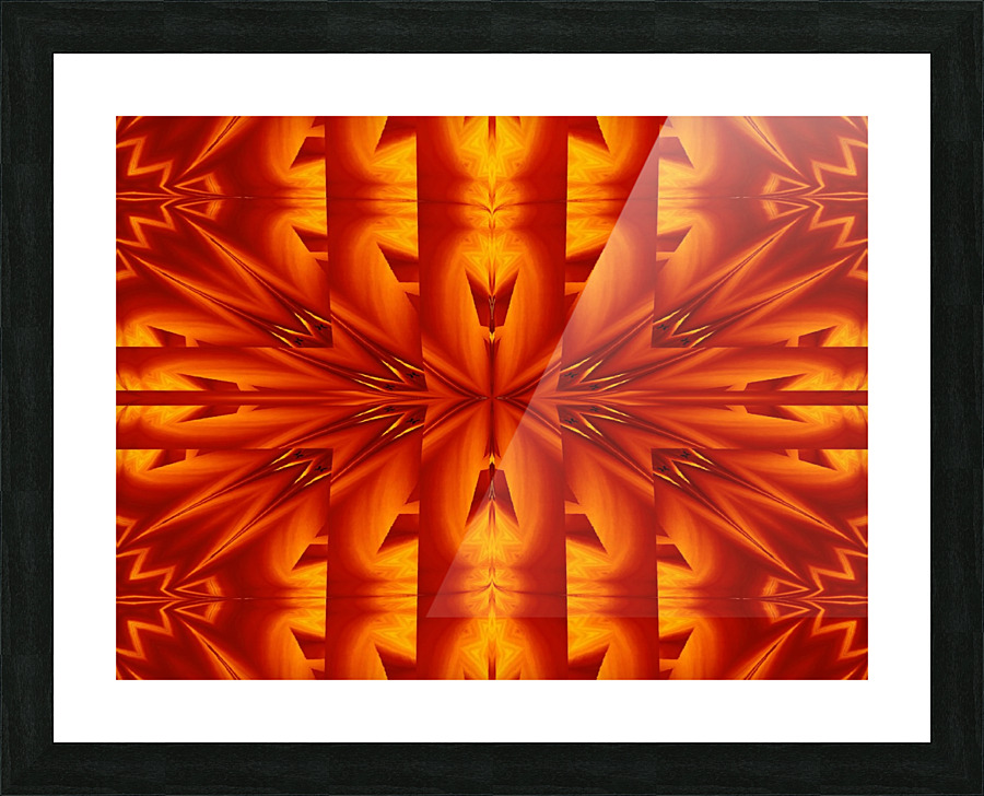 Fire Flowers 273 Picture Frame print