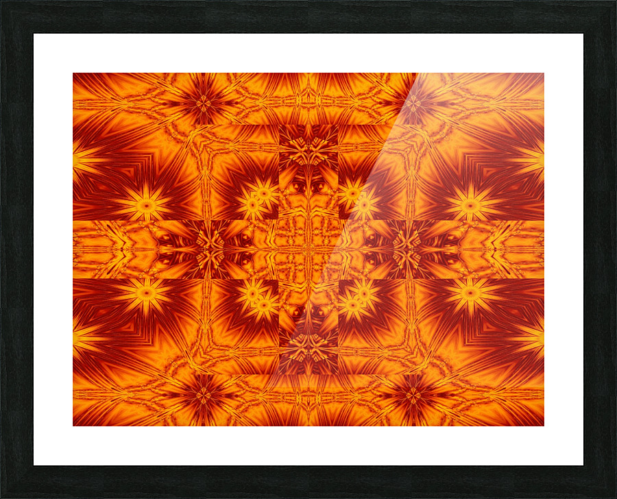 Fire Flowers 274 Picture Frame print