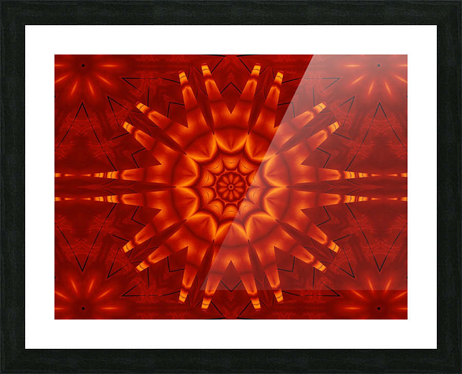 Fire Flowers 279 Picture Frame print