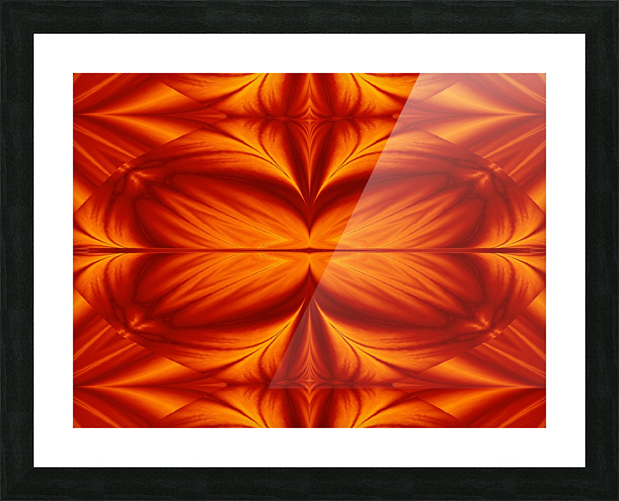 Fire Flowers 281 Picture Frame print