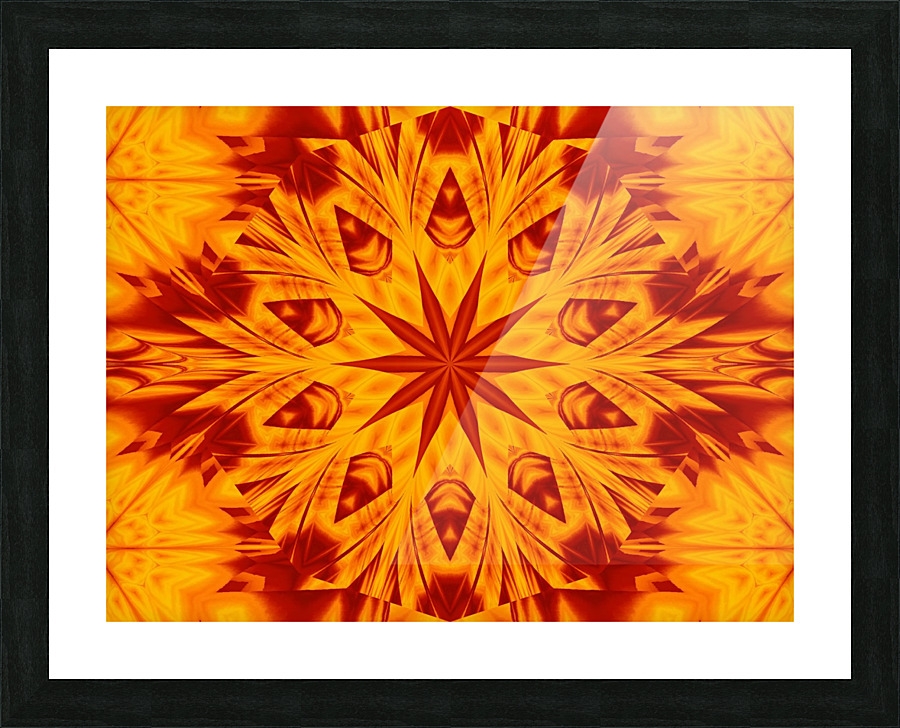 Fire Flowers 288 Picture Frame print