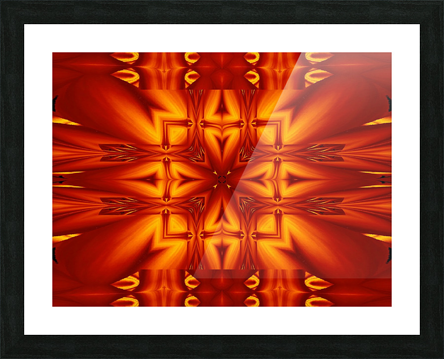 Fire Flowers 289 Picture Frame print