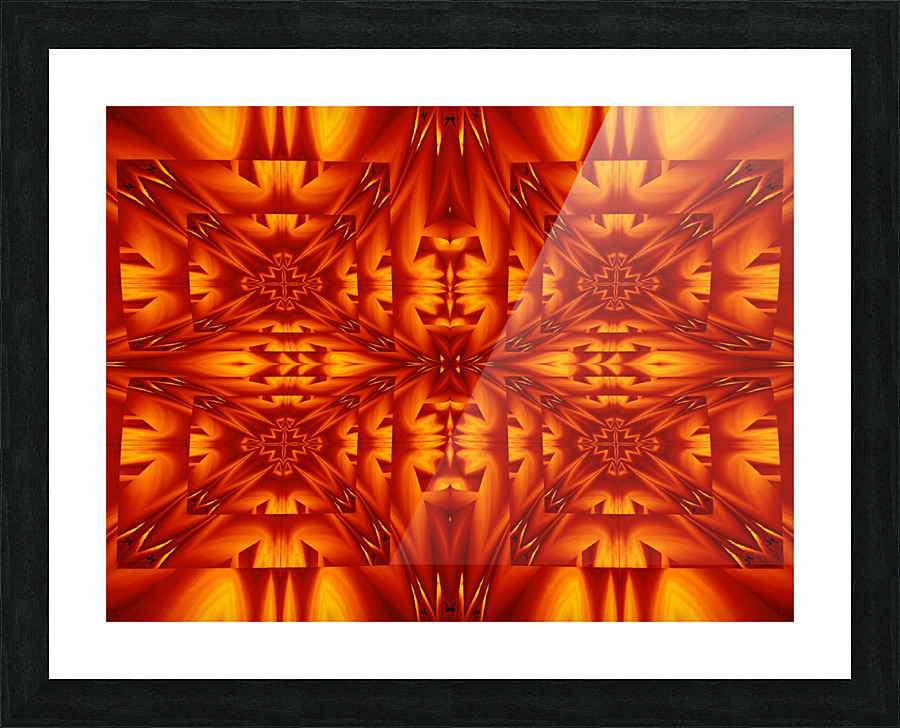 Fire Flowers 291 Picture Frame print