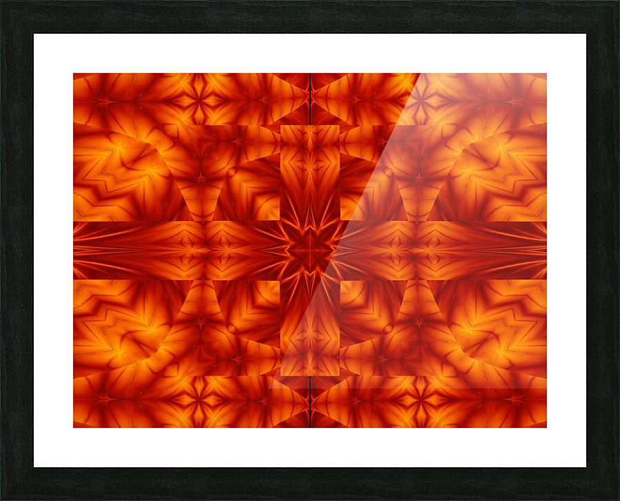 Fire Flowers 293 Picture Frame print