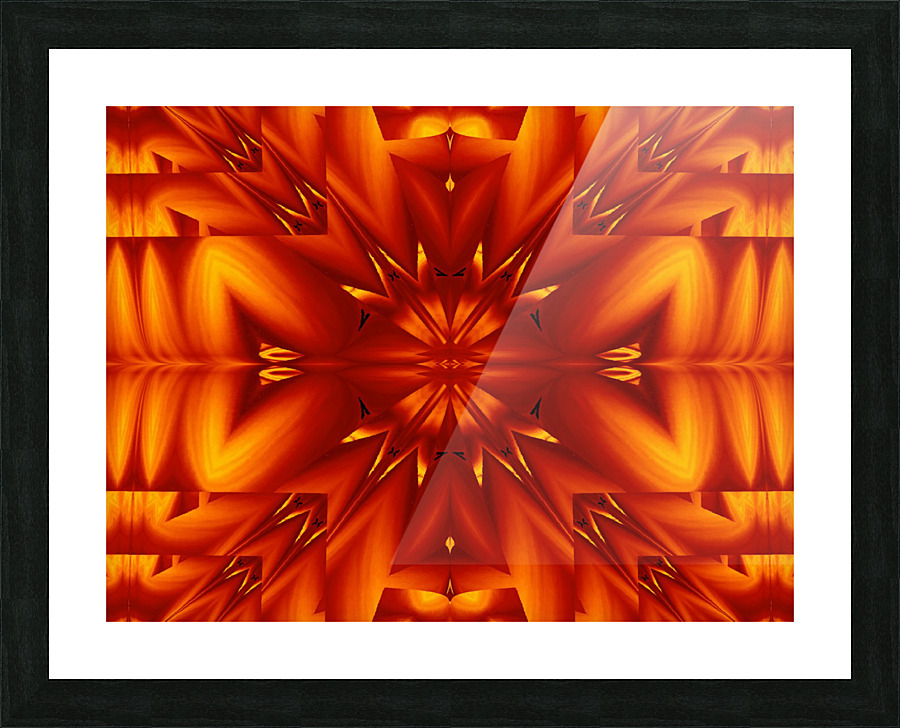 Fire Flowers 294 Picture Frame print