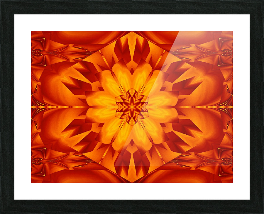 Fire Flowers 295 Picture Frame print