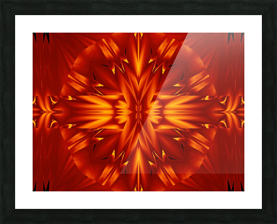 Fire Flowers 299 Picture Frame print