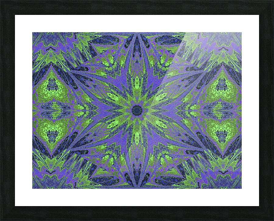 Sophornitella 13 Picture Frame print