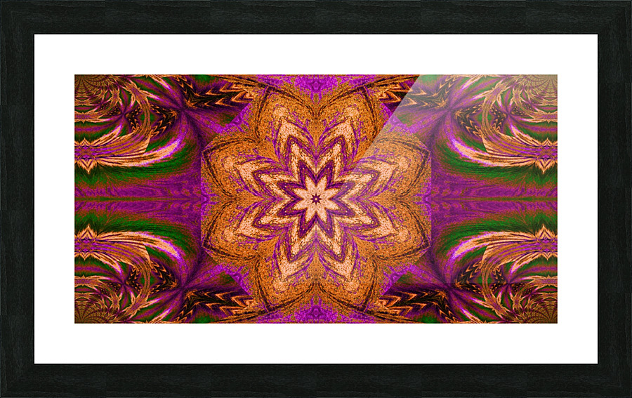 Daisy In The Meadow 12 Picture Frame print