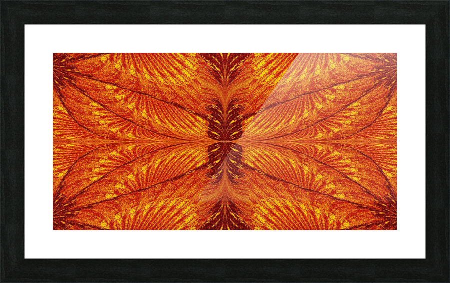 Sunshine Light Butterfly Picture Frame print
