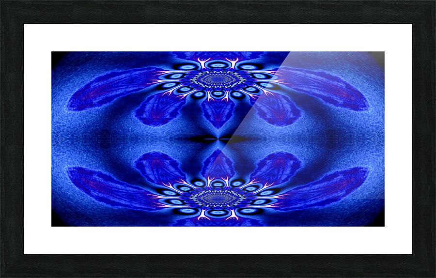 Blue Feathers Picture Frame print
