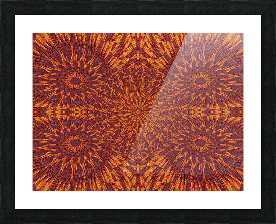 Desert Sunshine 88 Picture Frame print