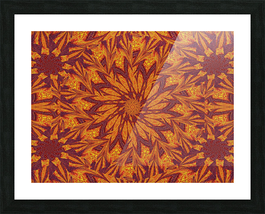 Desert Sunshine 96 Picture Frame print