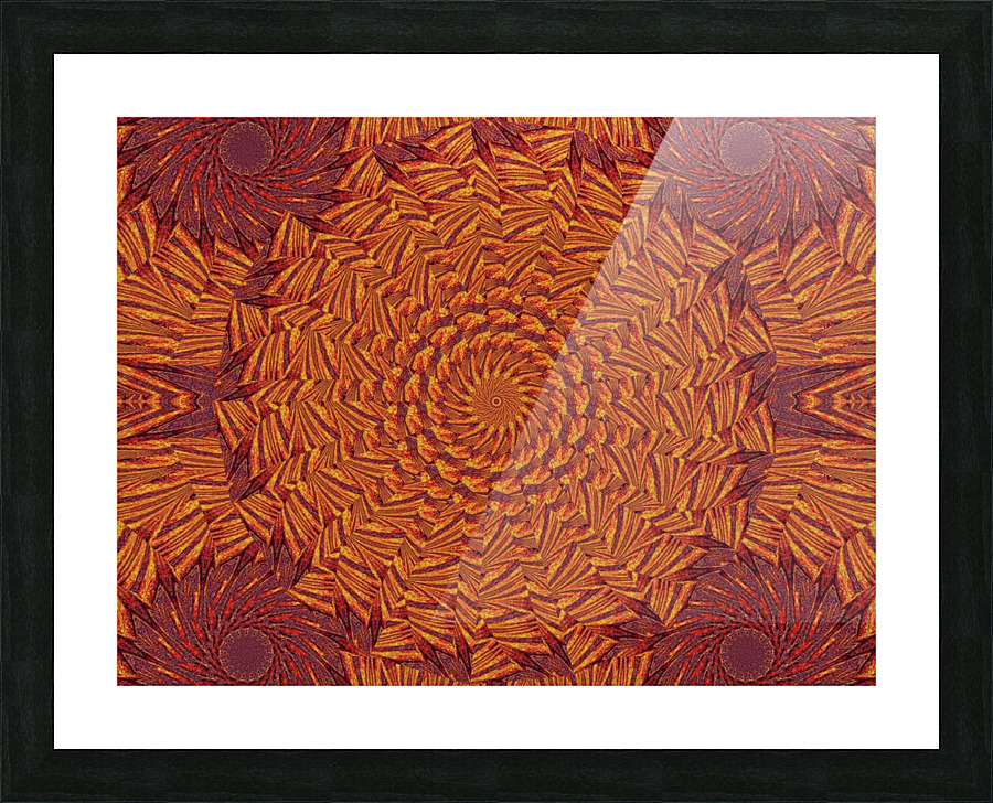 Desert Sunshine 116 Picture Frame print