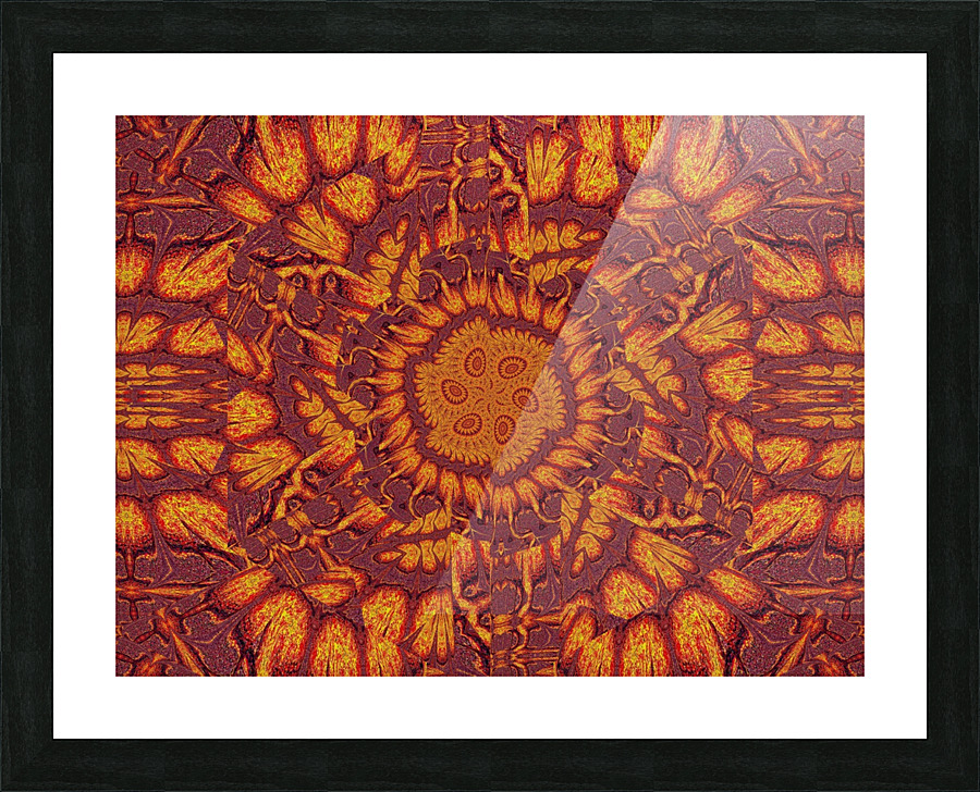 Desert Sunshine 183 Picture Frame print
