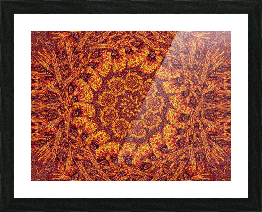 Desert Sunshine 217 Picture Frame print
