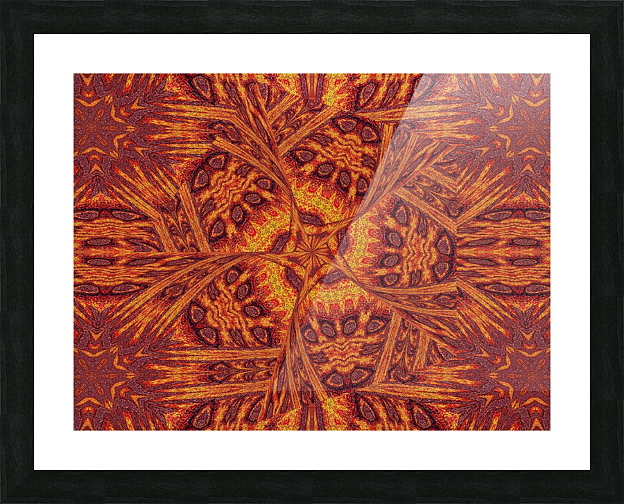 Desert Sunshine 219 Picture Frame print