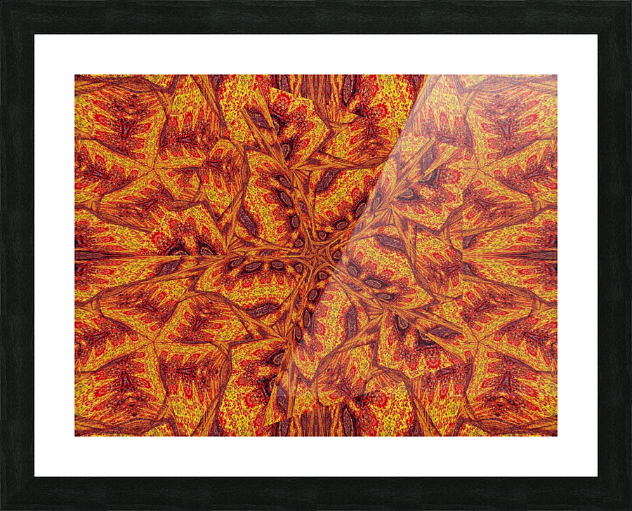 Desert Sunshine 228 Picture Frame print