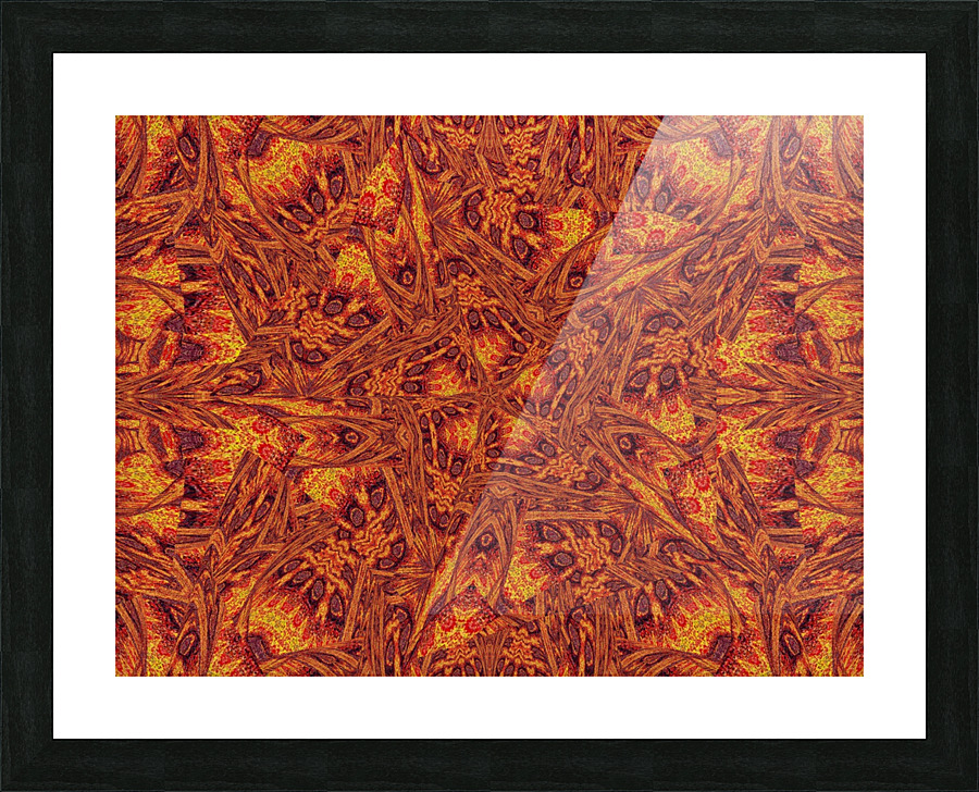 Desert Sunshine 233 Picture Frame print