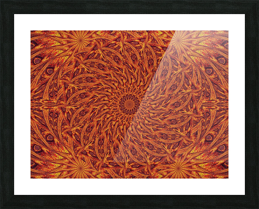 Desert Sunshine 295 Picture Frame print