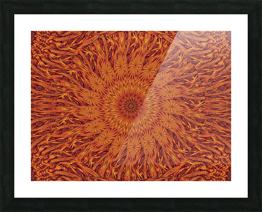 Desert Sunshine 296 Picture Frame print