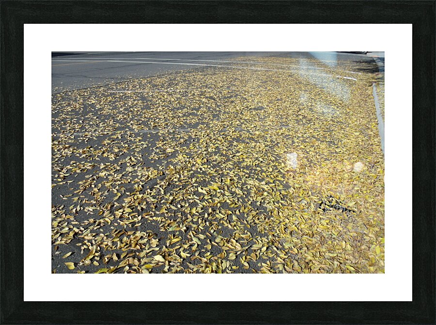 Fall Leaves 1 Picture Frame print