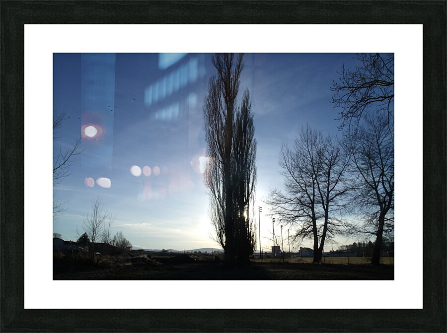 Lost River Winter Trees 6 Picture Frame print