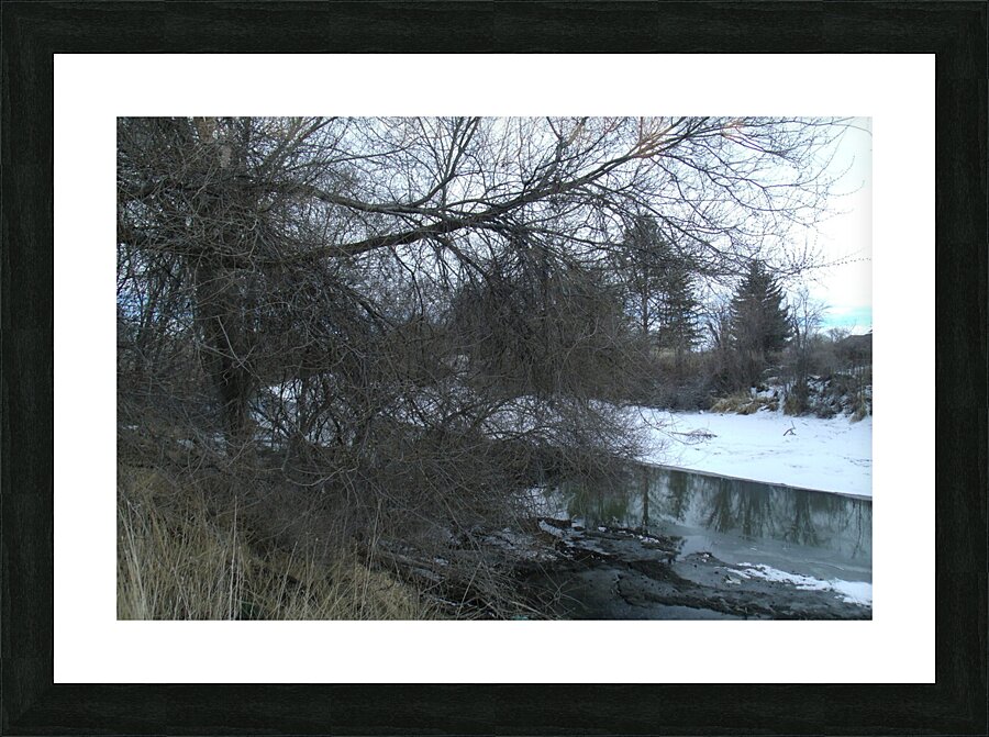 Spring Snow Trees 1  Picture Frame print