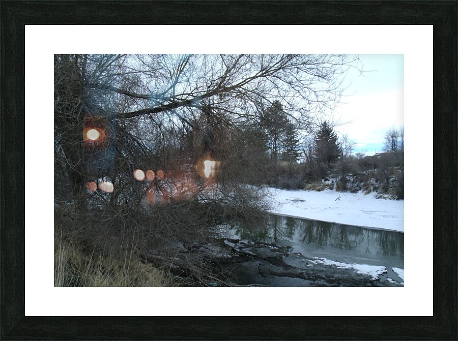 Spring Snow Trees 2  Picture Frame print