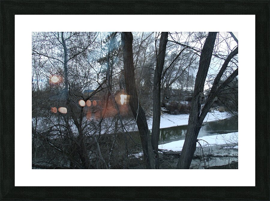 Spring Snow Trees 3  Picture Frame print