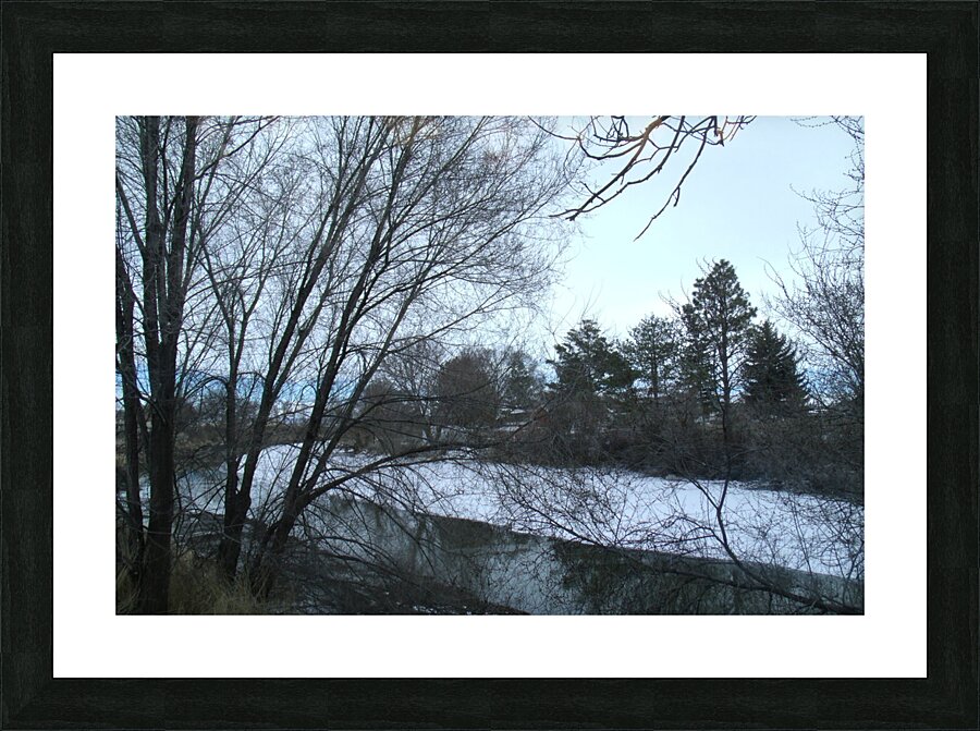 Spring Snow Trees 5  Picture Frame print