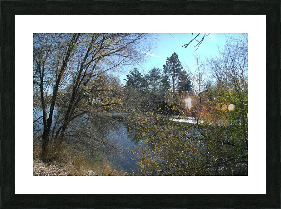Lost River Trees 6 Picture Frame print